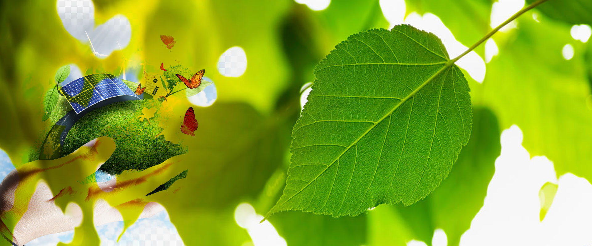 RAKEZ Approved safety training company in Dubai